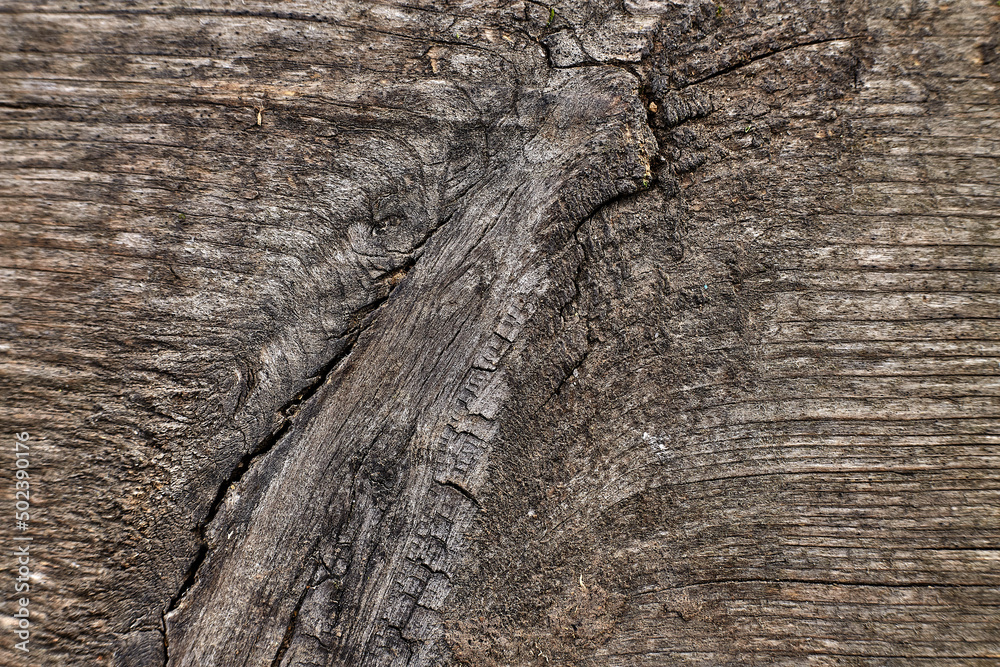Closeup photo of old gray wooden wall texture background Closeup photo of old gray wooden wall texture background