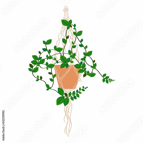 Vector illustration of hanging pots for houseplants. Macrame and pot with plant decor for interior. Isolated on white background.