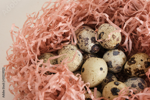 quail eggs on light texture background copy space