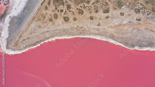 Flying over a pink salt lake. Salt production facilities saline evaporation pond fields in the salty lake. Dunaliella salina impart a red, pink water in mineral lake with dry cristallized salty coast. photo