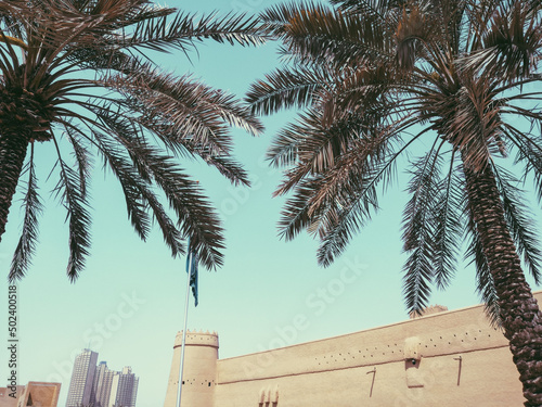 Palm trees outside Masmak Fort, Riyadh, Saudi Arabia photo