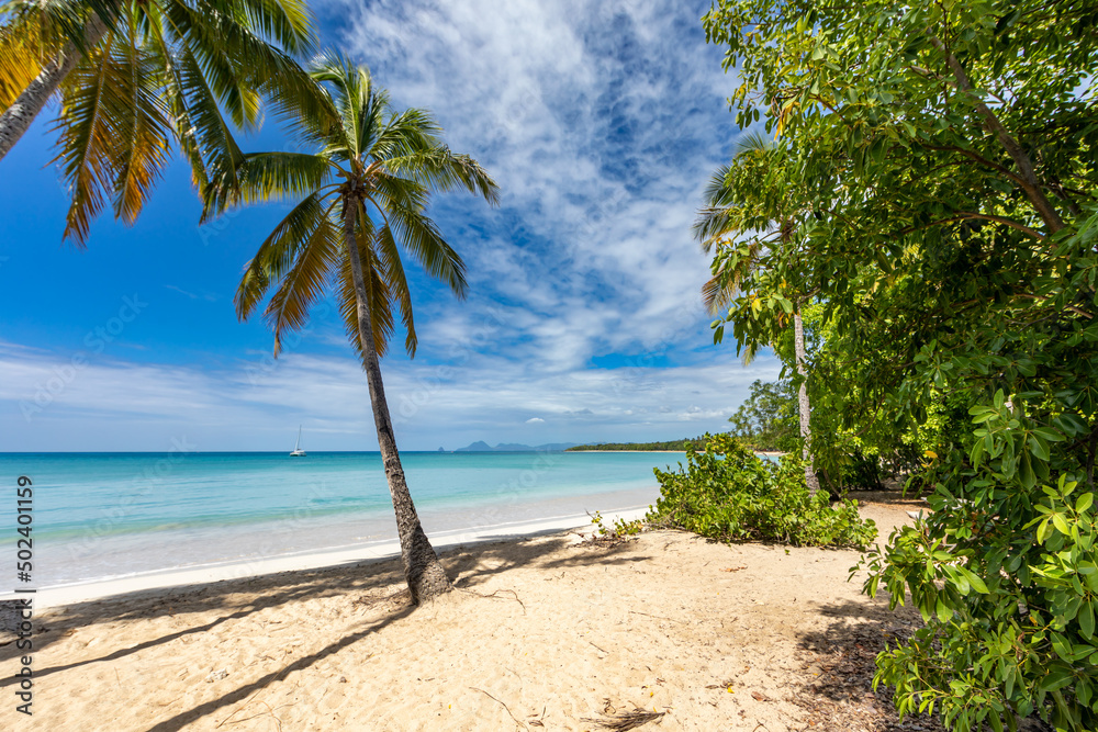 Obraz premium Salines beach, Sainte-Anne, Martinique, FWI