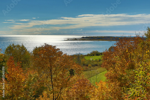 Picturesque scenery of a calm sea and blue sky captured from a shore with autums trees photo