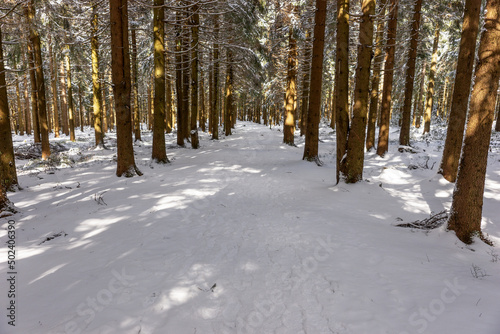Winter hiking trail in the Thuringian Forest © kelifamily