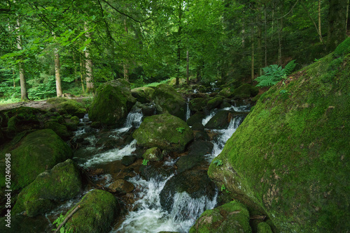 Gertelsbacher Waterfalls in summer time, Buehlertal, Black Forest, Germany