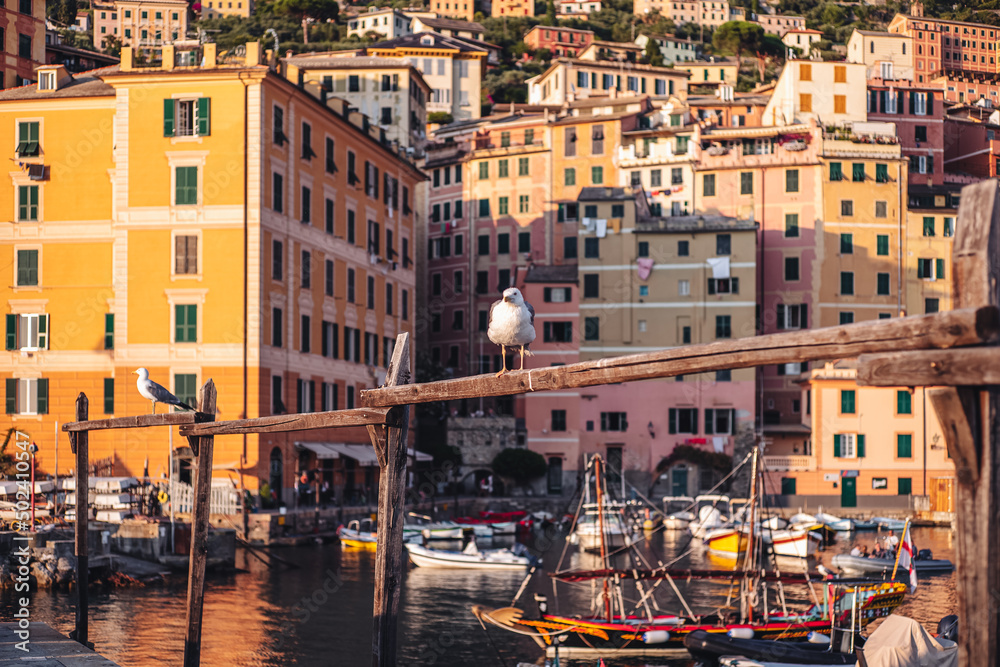 CAMOGLI, ITALY-JULY 2021: The colorful fishermens village on the coastline of Liguria