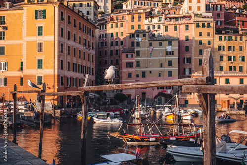 CAMOGLI  ITALY-JULY 2021  The colorful fishermens village on the coastline of Liguria