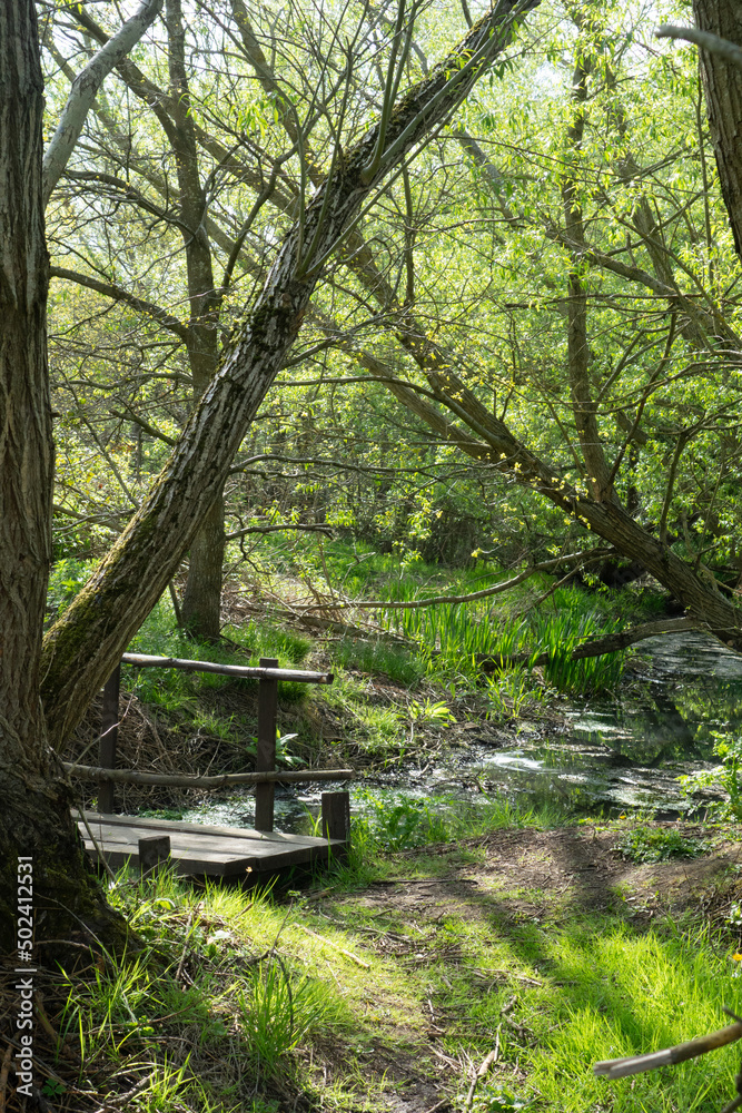Bridge over a beautiful steam in a spring English meadow walk with a small path Bridge over a beautiful steam in a spring English meadow walk with a small path