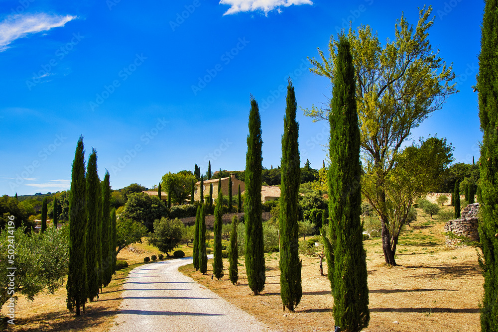 Alley surrounded by green cypresses with a background of a blue sky and a tiny building in France - obrazy, fototapety, plakaty 