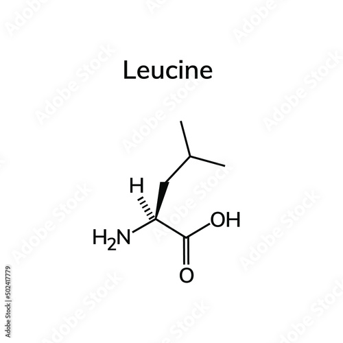 essential amino acid leucine on a white background
 photo