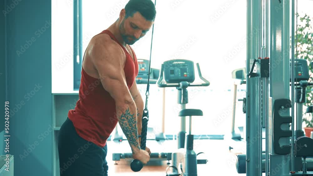 Best gym machines for arms