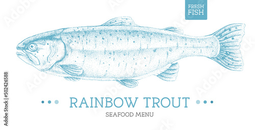 Realistic rainbow trout fish vector illustration. Seafood menu design