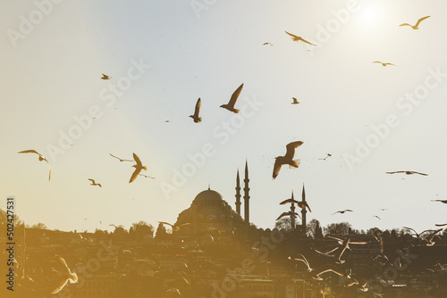 Istanbul silhouette and seagulls at sunset, Suleymaniye mosque, Turkey Fototapet