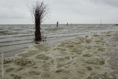 High tide at sandy North Sea beach, foam and brushes as way markers , cloudy spring day (horizontal), Sahlenburg, Lower Saxony, Germany photo