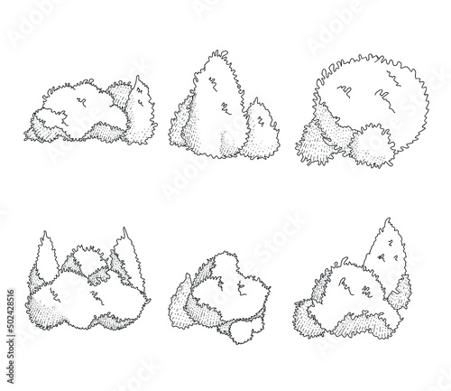 Vector pack of different shaped tree sketches isolated on a white background