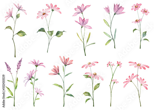 Set of cute small spring flowers isolated on white background. Floral hand painted collection. Watercolor clip art illustrations for greeting card and design templates