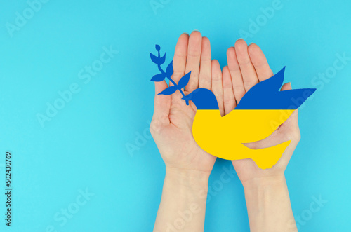 A paper dove with a sprig in the colors of the Ukrainian flag in female hands. A symbol of peace