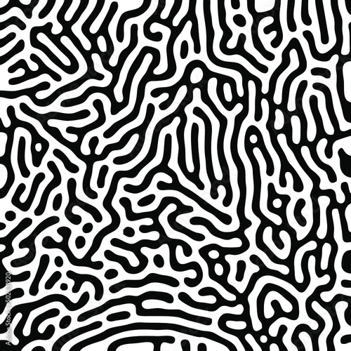 Black and white reaction diffusion pattern or labyrinth pattern