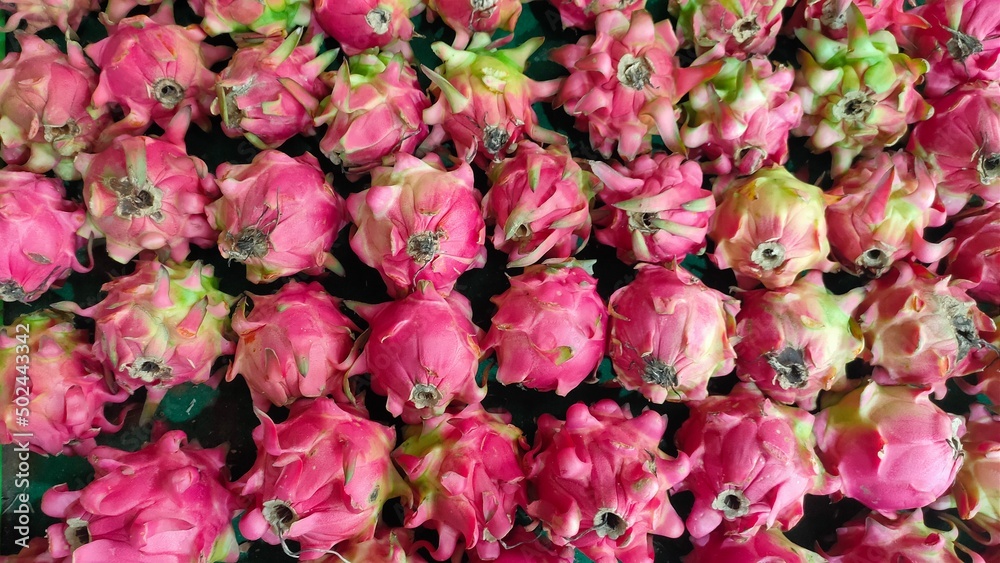fresh red dragonfruit fresh red dragonfruit