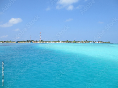 Maldives. Indian Ocean. Brown algae can be seen through clear turquoise water. © Olga V
