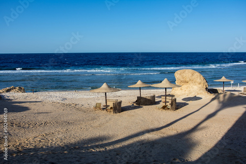 beach chairs and umbrellas on the beach