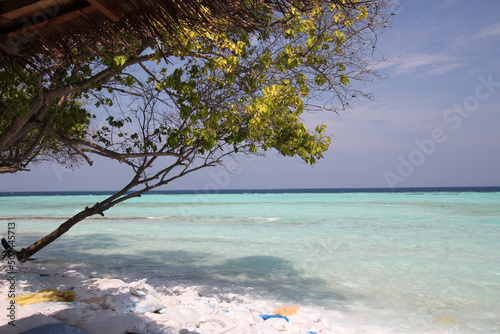 Fototapeta Naklejka Na Ścianę i Meble -  Maldives. A green tropical tree hangs over the Indian Ocean. Blue sky and turquoise blue ocean. Paradise corner.