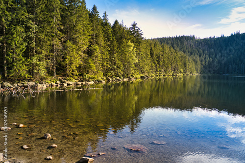 Fototapeta Naklejka Na Ścianę i Meble -  Beautiful Devil's Lake in the Bohemian Forest, Czech Republic