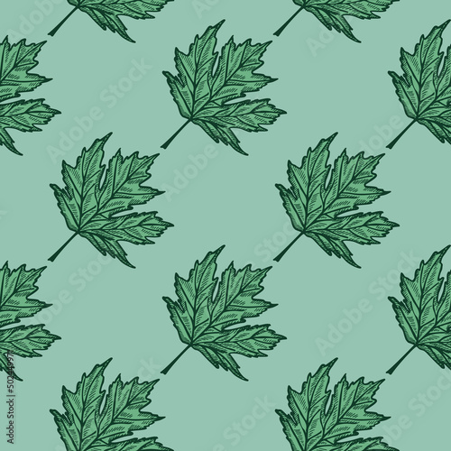 Leaves maple canadian engraved seamless pattern. Vintage background botanical with foliage in hand drawn style.