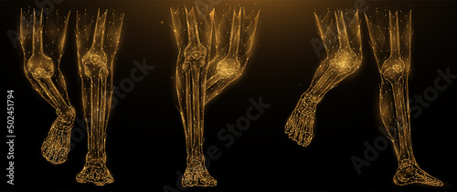 Polygonal vector illustration of anatomy of human legs. Low poly art lower limbs on a dark background. The flesh and bones of the legs anatomical art. Medical banner or template.
