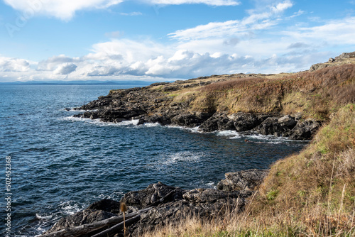 Gorgeous view of the grassy coastline on San Juan Island on a bright, sunny day with puffy white clouds © ColleenMichaels
