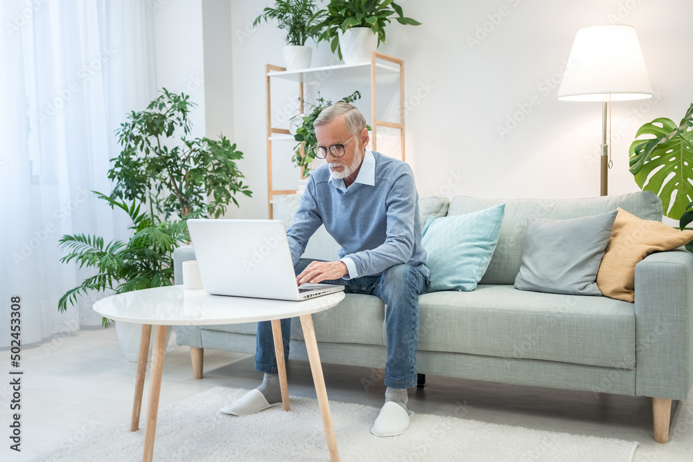 Full length view of the middle-aged man in glasses sitting on the couch and using laptop computer for messaging, grey-haired businessman working remotely, senior man spends leisure time online