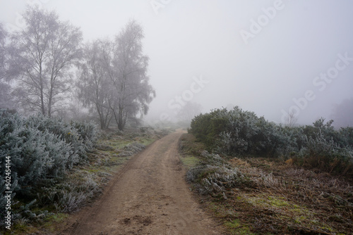 Misty footpath in the countryside