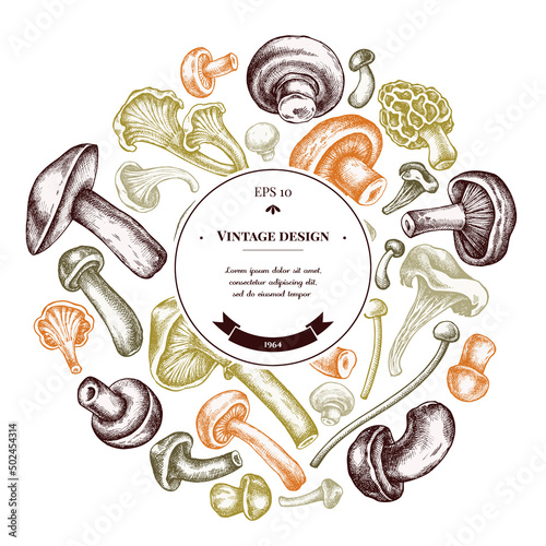 Round design with pastel oyster mushroom, champignon, honey agaric, etc.