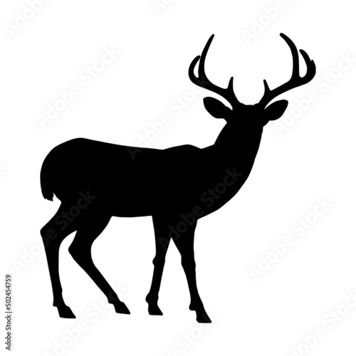 Vector deer silhouette isolated on white background.