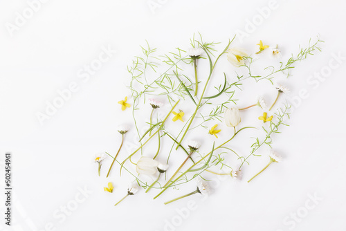 Fototapeta Naklejka Na Ścianę i Meble -  Spring frame of small flowers and daisy, summer floral arrangement