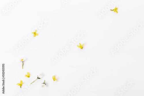 Spring frame of small flowers and daisy, summer floral arrangement