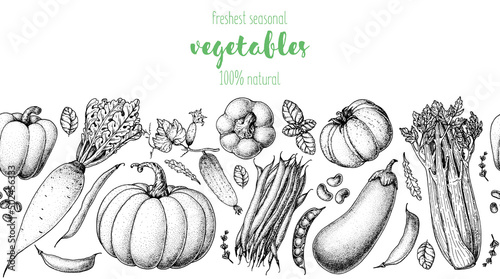 Vegetables hand drawn illustration. Top view frame. Vintage hand drawn. Organic food poster. Good nutrition, healthy food. Vector illustration. Pepper, daikon, pumpkin, celery, eggplant, tomato, pea