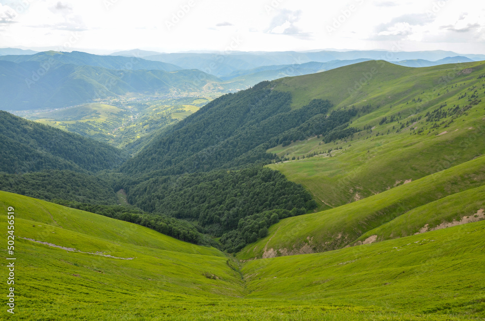 Top view of the mountain slopes covered with lush green grass and the valley overgrown with dense forest. Travel to the mountains and outdoor activities. Carpathians, Ukraine