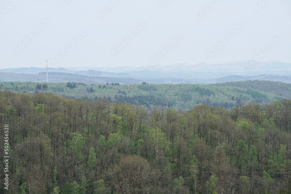 Landschaft mit Hügeln und Wald, frische grüne Blätter im Frühling, Jahreszeit zwischen Ostern und Pfingsten