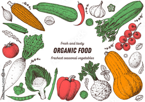 Vegetables hand drawn illustration. Top view frame. Vintage hand drawn sketch. Organic food poster. Good nutrition, healthy food. Vector illustration. Artichoke, tomato, zucchini, celery, pepper