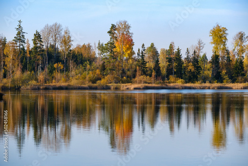Swedish forest lake in autumn