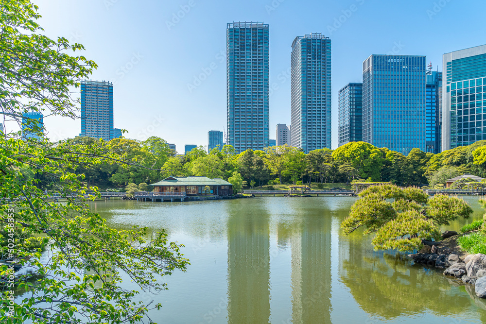 東京都中央区　浜離宮恩賜庭園　高層ビルと日本庭園