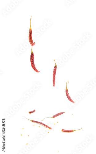 Dried red chilli falling isolated on white background, without focus