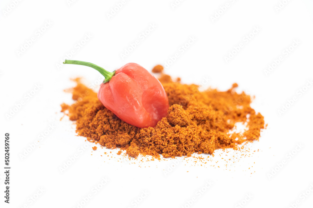 Spicy naga chili with chili powder isolate on white background..