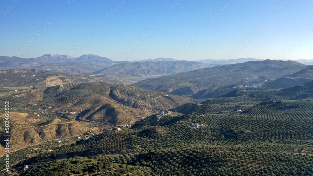 survol des champs d'oliviers (oliveraies), hacienda et village blanc en Andalousie dans le sud de l'Espagne