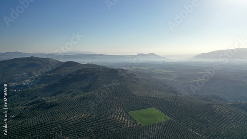 survol des champs d'oliviers (oliveraies), hacienda et village blanc en Andalousie dans le sud de l'Espagne