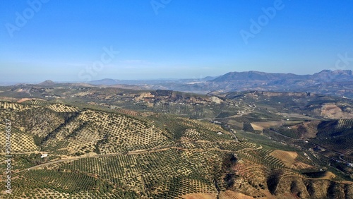 survol des champs d'oliviers (oliveraies), hacienda et village blanc en Andalousie dans le sud de l'Espagne