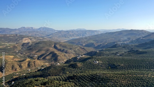 survol des champs d'oliviers (oliveraies), hacienda et village blanc en Andalousie dans le sud de l'Espagne