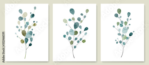 Art background with eucalyptus leaves in a watercolor style. Botanical set with tropical plant branches, for decoration, interior design, invitations