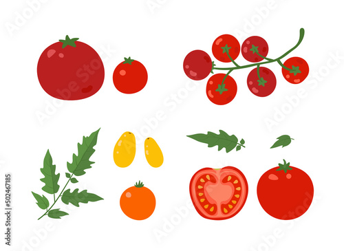 Vector illustration of a red tomato. A slice of tomato, red and yellow tomatoes, leaves. Cartoon vegetable set of elements isolated on a white background.